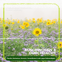 Gründüngung Bienenweide 1 kg