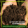 Gründüngung Bienenweide 1 kg