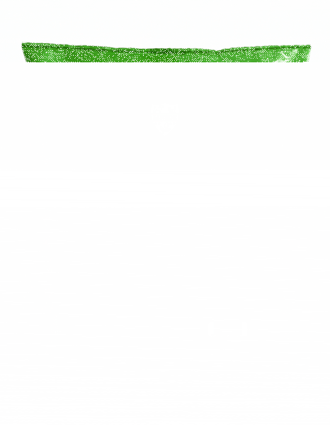 Gründüngung Bodenverbesserung 1 kg