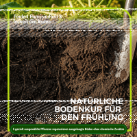 Gründüngung Frühlingsaussaat 1 kg