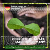 Gründüngung Frühlingsaussaat 1 kg