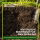 Gründüngung Frühlingsaussaat 1 kg