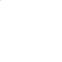 Gelbsenf Gründünger