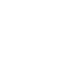 Gelbsenf Gründünger