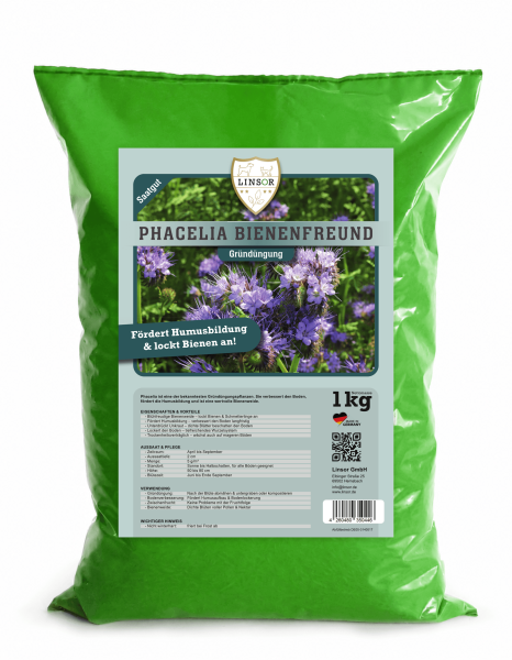 Phacelia Gründünger