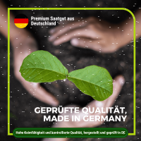 Gründüngung Mischung - Ganzjährige Aussaat 1 kg