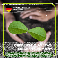 Gründüngung Sommeraussaat 1 kg
