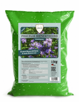 Phacelia Gründünger 1 kg