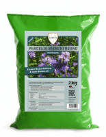 Phacelia Gründünger 2 kg