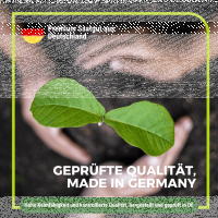 Phacelia Gründünger 2 kg