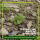 Phacelia Gründünger 2 kg
