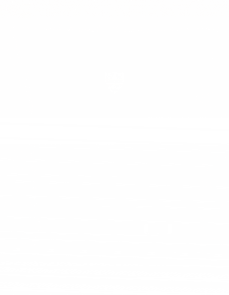 Gelbsenf Gründünger 1 kg