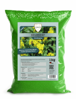 Gelbsenf Gründünger 1 kg