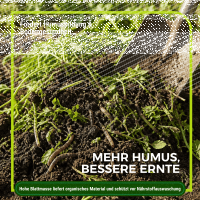 Gelbsenf Gründünger 1 kg