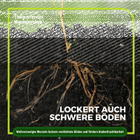 Gelbsenf Gründünger 1 kg