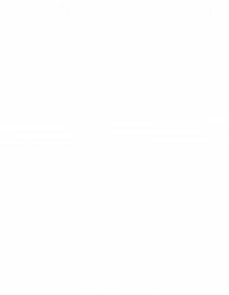 Gelbsenf Gründünger 2 kg