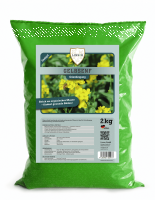Gelbsenf Gründünger 2 kg
