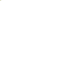 Gelbsenf Gründünger 2 kg
