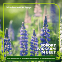 Lupine Gründünger 2 kg